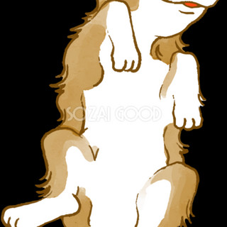 Writer: 五右衛門 石川